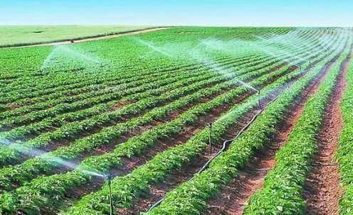 大黑鸡巴免费播放视频农田高 效节水灌溉